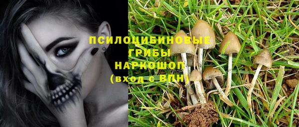 мескалин Кинешма