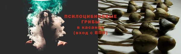 мескалин Кинешма